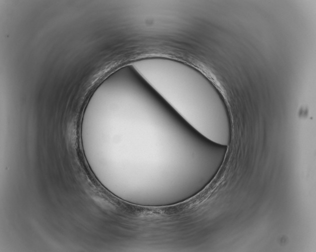 X0000096950386200802080925