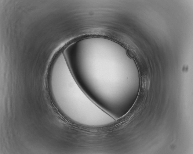 X0000096950388200802080925