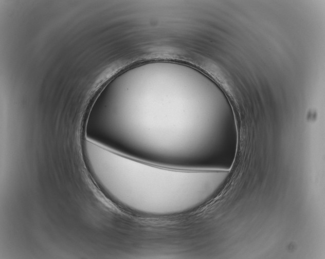 X0000096950389200802080925