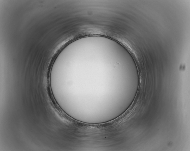 X0000096950390200802080925