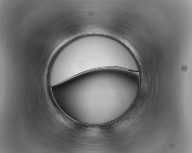 X0000096950391200802080925
