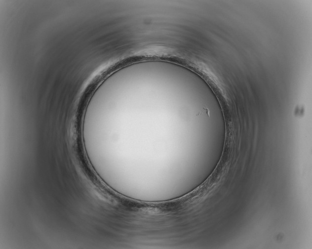 X0000096950392200802080925