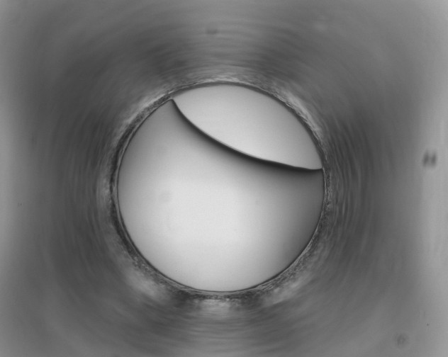 X0000096950394200802080925