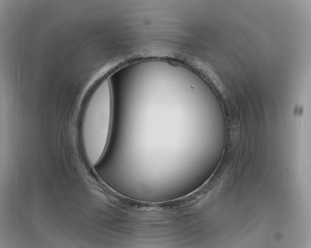X0000096950395200802080925