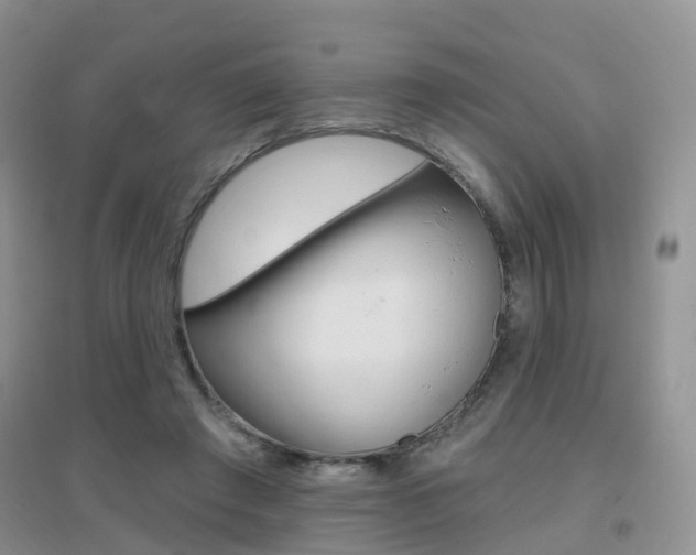 X0000096950401200802080925