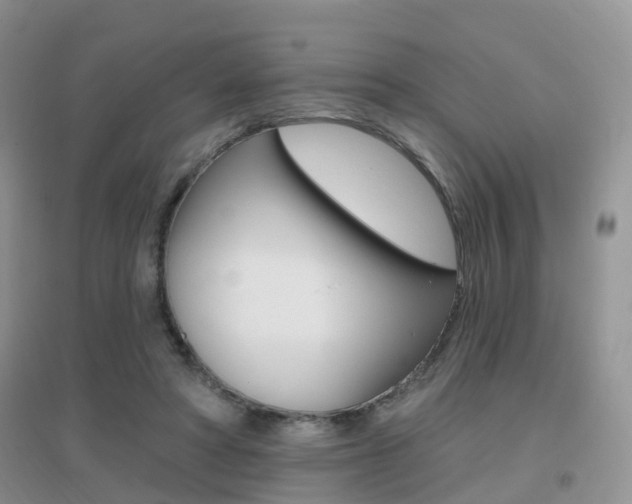 X0000096950402200802080925