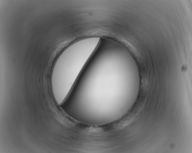 X0000096950403200802080925