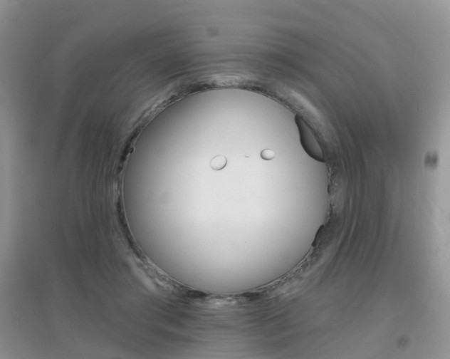 X0000096950405200802080925