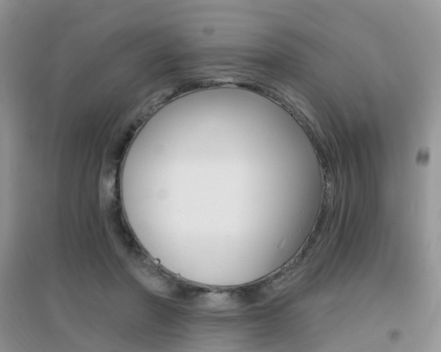 X0000096950406200802080925