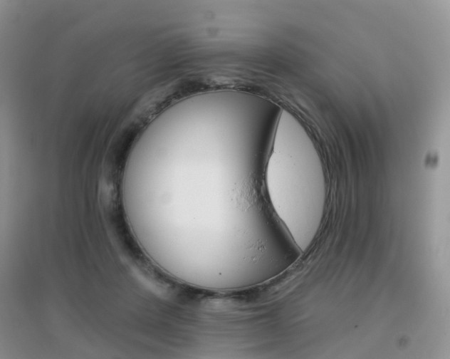 X0000096950408200802080925