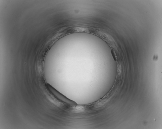 X0000096950409200802080925