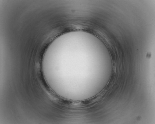 X0000096950410200802080925