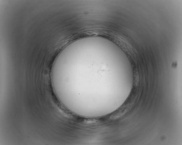 X0000096950414200802080925