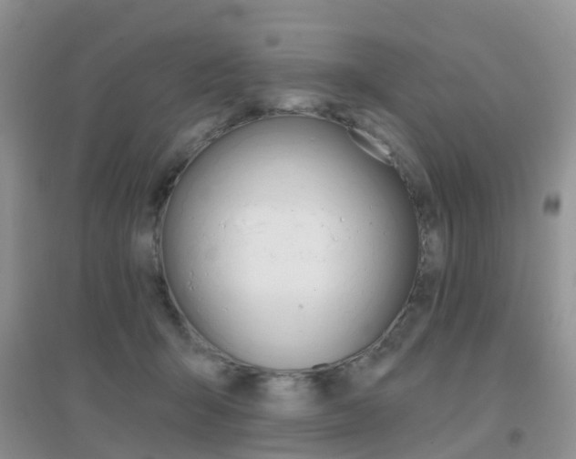 X0000096950415200802080925