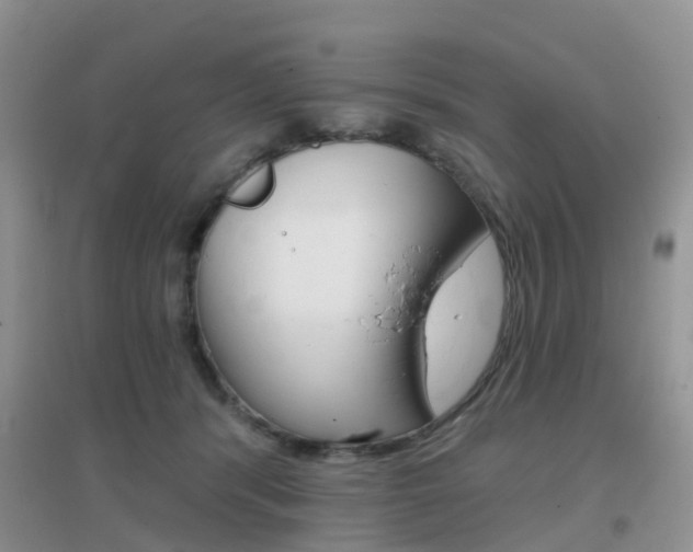 X0000096950416200802080925