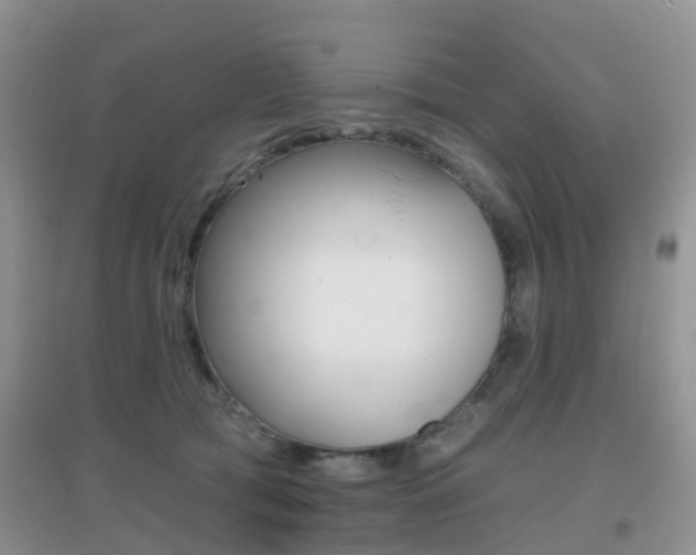 X0000096950417200802080925