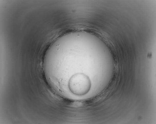 X0000096950418200802080925