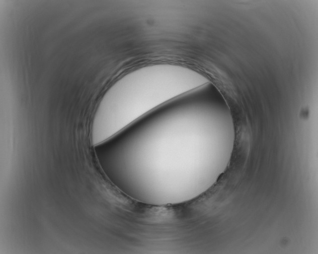 X0000096950421200802080925