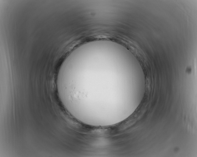 X0000096950422200802080925