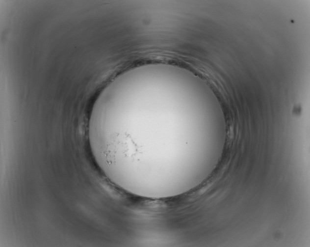 X0000096950424200802080925