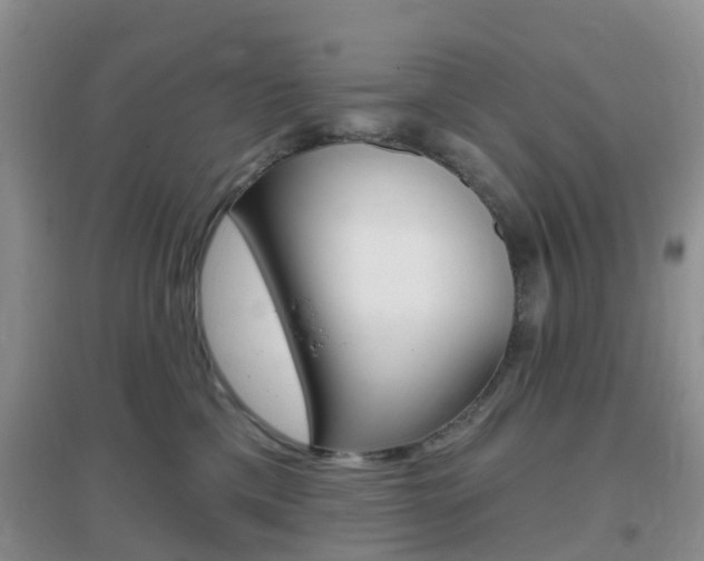 X0000096950425200802080925