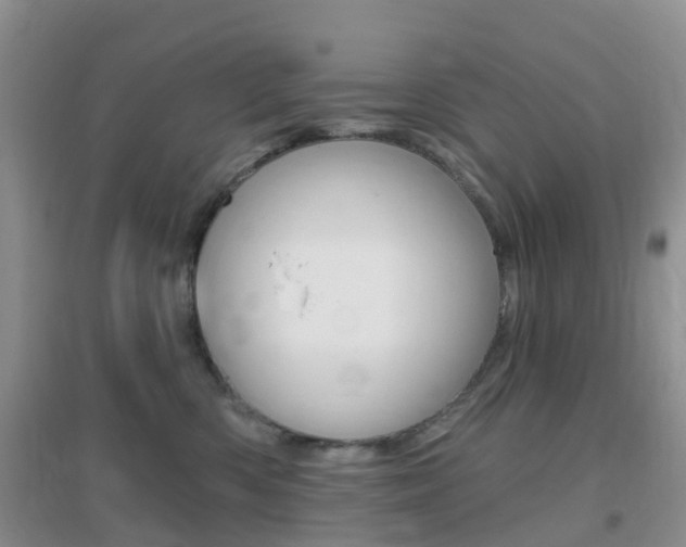 X0000096950426200802080925