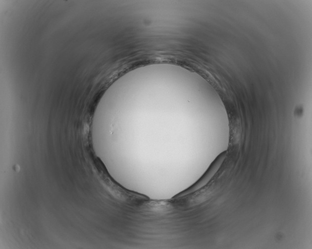 X0000096950427200802080925