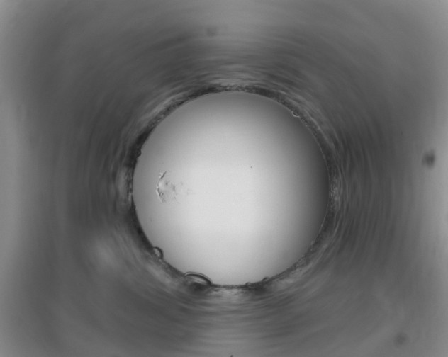 X0000096950428200802080925