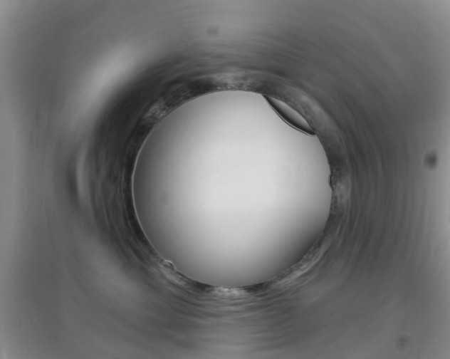 X0000096950429200802080925