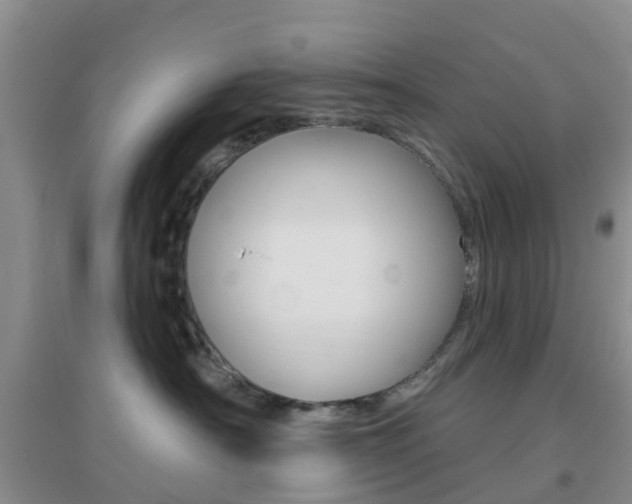 X0000096950430200802080925