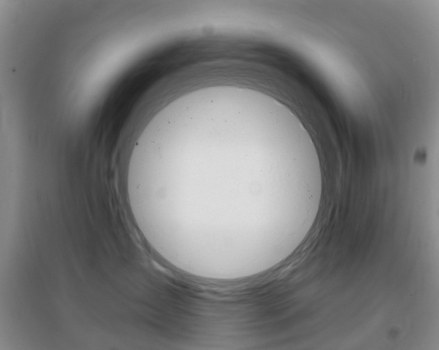 X0000096950431200802080925
