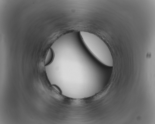 X0000096950432200802080925
