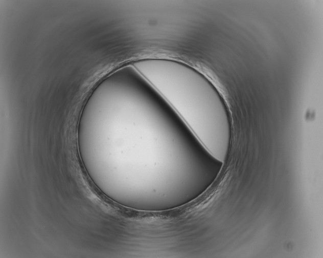 X0000096950433200802080924