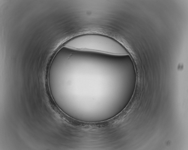 X0000096950434200802080924