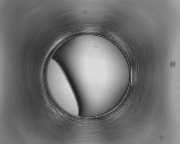 X0000096950435200802080924