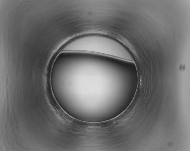 X0000096950436200802080924