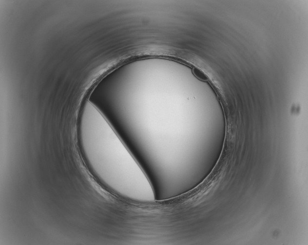 X0000096950437200802080924