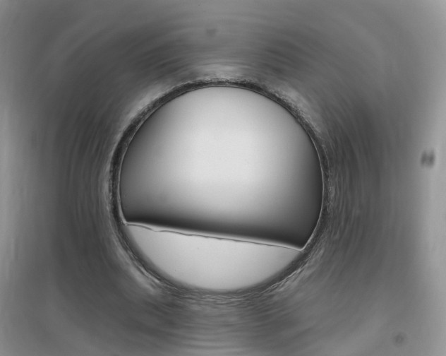 X0000096950439200802080924