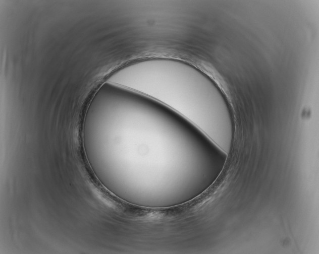 X0000096950441200802080924