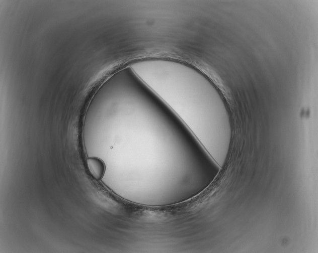 X0000096950442200802080924