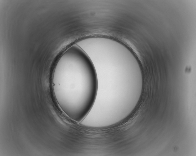 X0000096950443200802080924