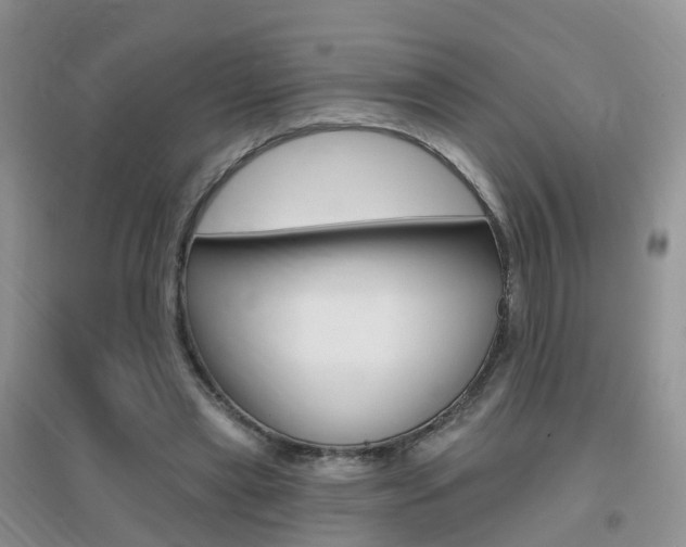X0000096950445200802080924