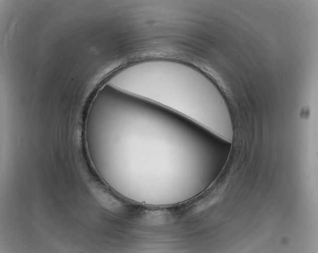 X0000096950446200802080924
