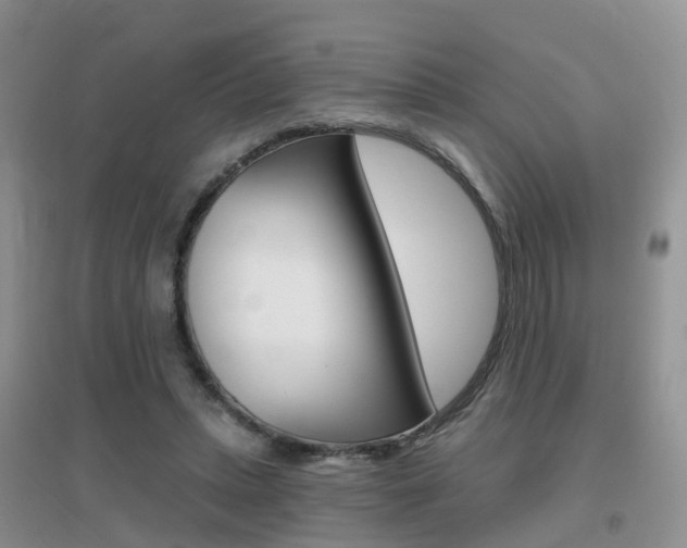 X0000096950447200802080924