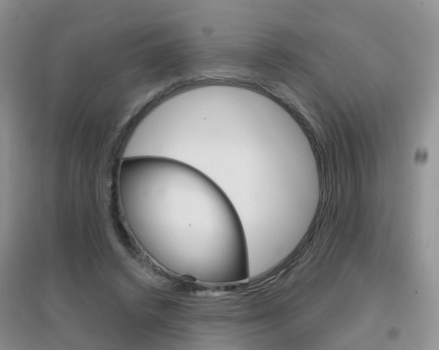 X0000096950448200802080924
