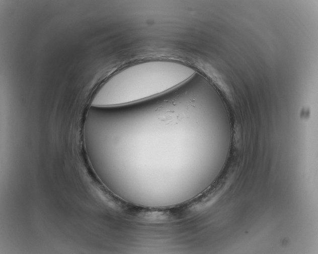 X0000096950449200802080924