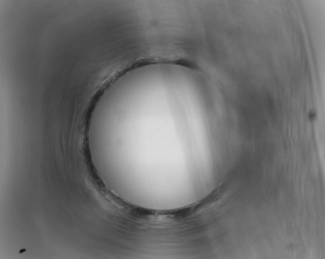 X0000096950451200802080924