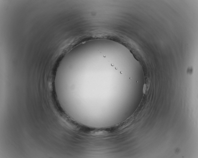 X0000096950452200802080924