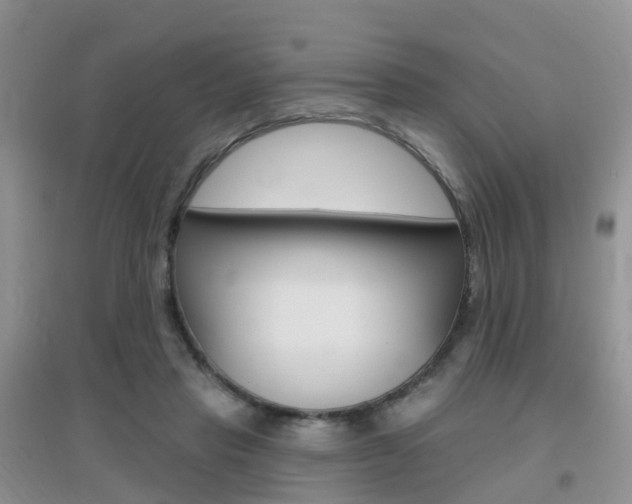 X0000096950453200802080924