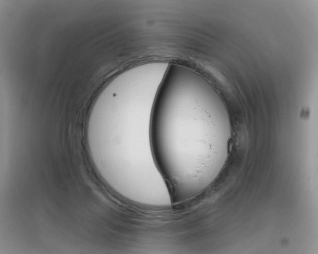 X0000096950455200802080924